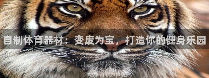 富联平台挂机：自制体育器材：变废为宝，打造你的健身乐