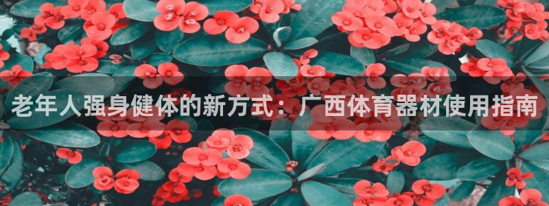 富联娱乐官方网站：老年人强身健体的新方式：广西体育器