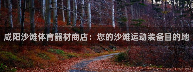 富联娱乐叩 411O31 富联：咸阳沙滩体育器材商店