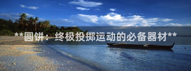 富联超市：**圆饼：终极投掷运动的必备器材**