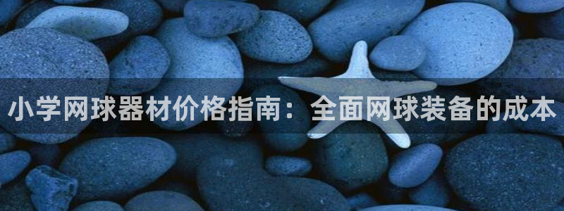 富联平台认可 585.34I 富联：小学网球器材价格