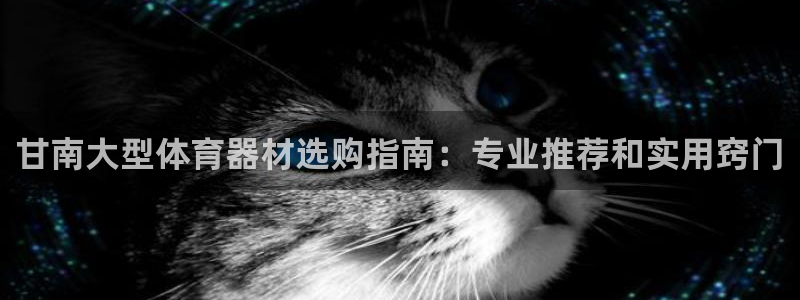 富联平台招商：甘南大型体育器材选购指南：专业推荐和实
