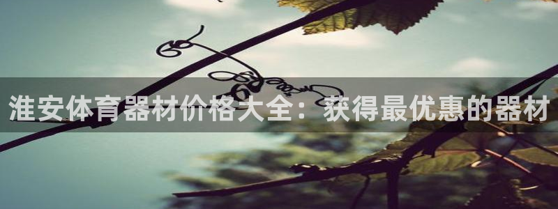富联申购何时上市：淮安体育器材价格大全：获得最优惠的