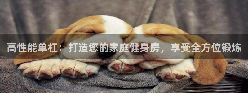 富联娱乐测速怎么样：高性能单杠：打造您的家庭健身房，
