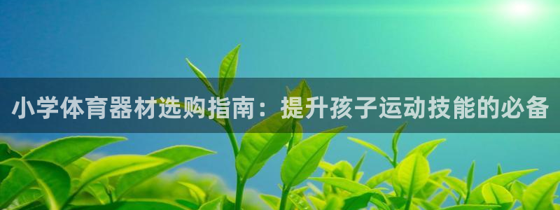 富联娱乐客户端app下载服务器：小学体育器材选购指南