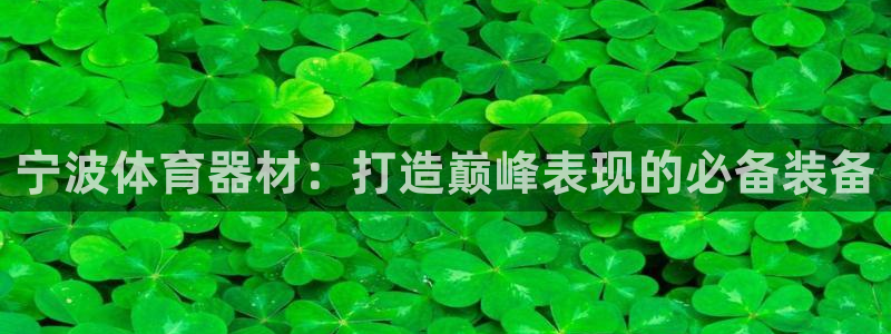 富联娱乐代理怎么做赚钱：宁波体育器材：打造巅峰表现的