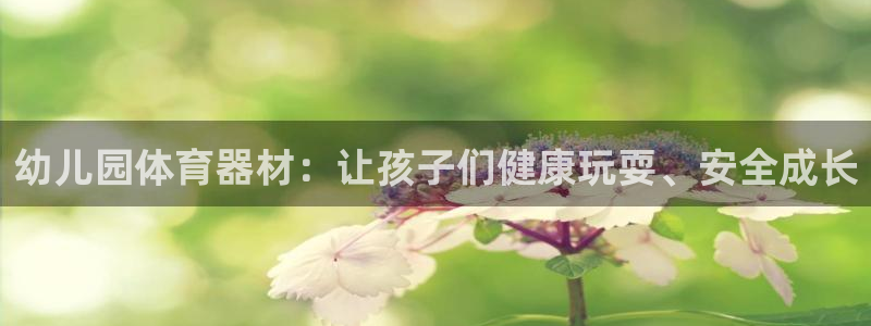 富联官网登陆：幼儿园体育器材：让孩子们健康玩耍、安全