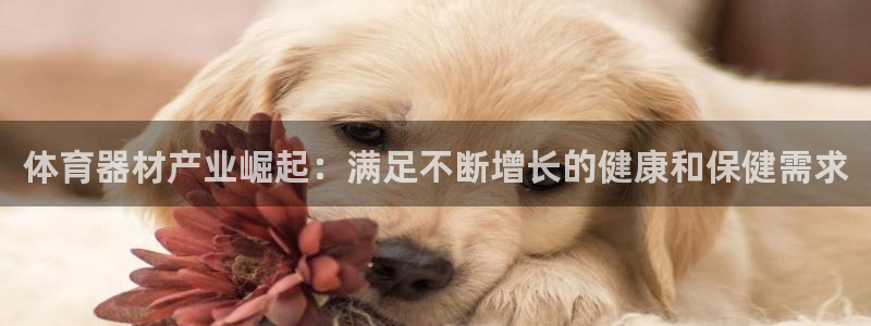 中国富联股票行情：体育器材产业崛起：满足不断增长的健