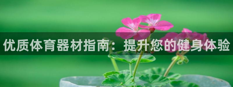 富联娱乐官方网站入口：优质体育器材指南：提升您的健身