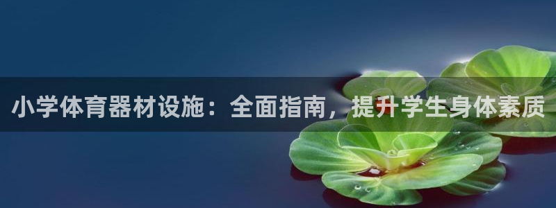 富联娱乐代理怎么做：小学体育器材设施：全面指南，提升