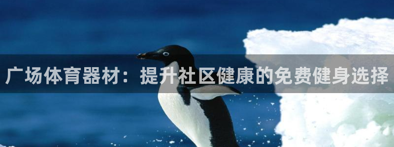 富联平台登录网址查询：广场体育器材：提升社区健康的免
