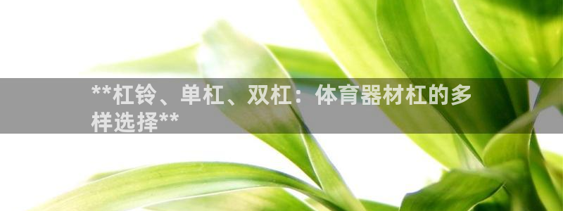 富联娱乐平台怎么样：**杠铃、单杠、双杠：体育器材杠