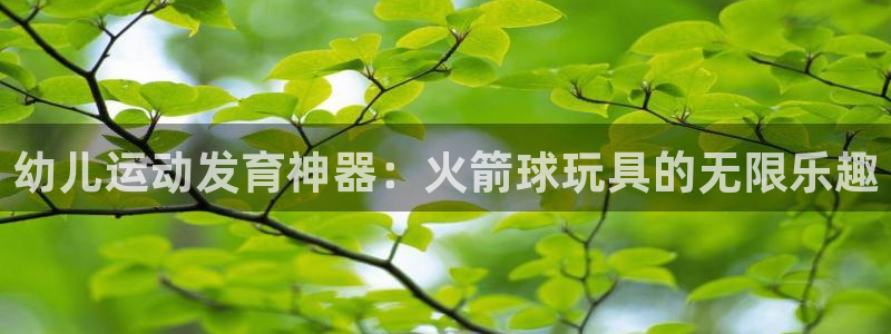 富联是什么意思网络用语：幼儿运动发育神器：火箭球玩具