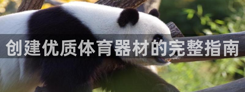富联娱乐平台开户要钱吗：创建优质体育器材的完整指南
