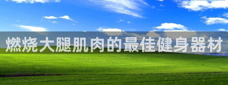 富联平台上级下级是什么：燃烧大腿肌肉的最佳健身器材