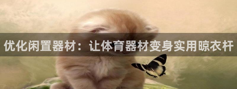 富联官方网站首页入口：优化闲置器材：让体育器材变身实