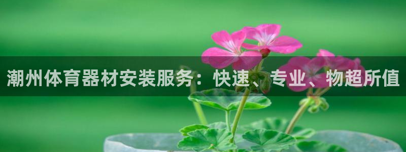 富联官网注册流程图：潮州体育器材安装服务：快速、专业
