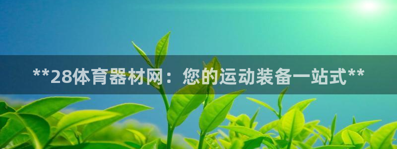 富联集团做什么的：**28体育器材网：您的运动装备一