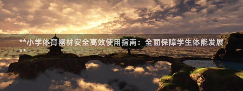 富联平台先选 58534I 富联：**小学体育器材安
