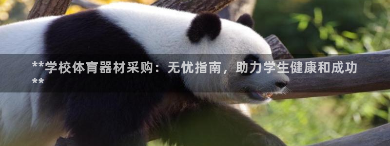 富联娱乐测速登录不上：**学校体育器材采购：无忧指南