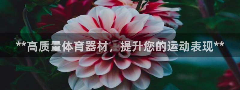 富联平台上级下级是什么意思：**高质量体育器材，提升