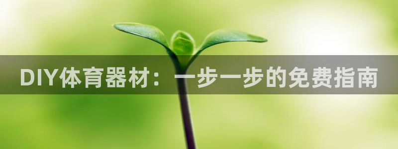 富联娱乐平台能挣到钱吗：DIY体育器材：一步一步的免