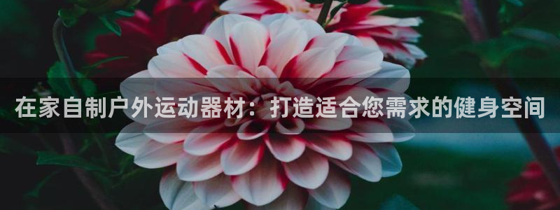 富联申购何时上市：在家自制户外运动器材：打造适合您需