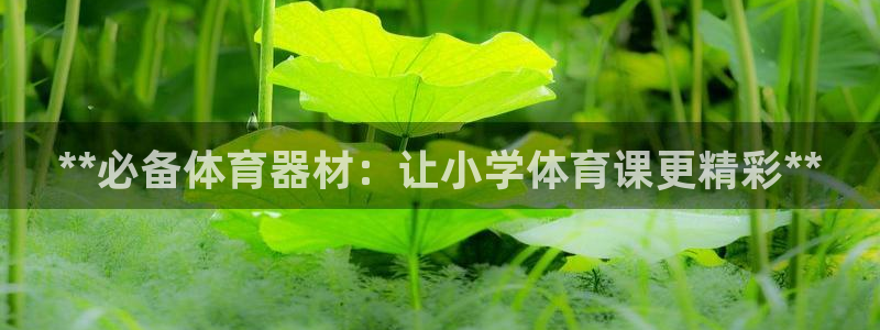 富联娱乐靠 58534I 富联：**必备体育器材：让