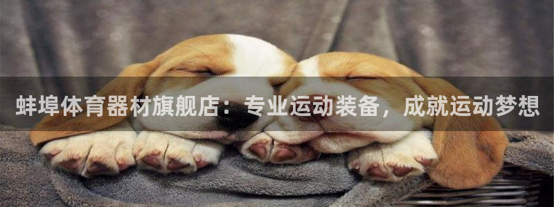 富联官网授权店铺：蚌埠体育器材旗舰店：专业运动装备，