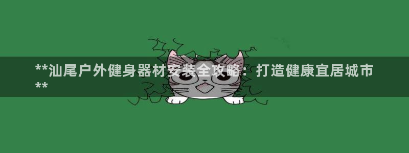 富联平台官网登录入口：**汕尾户外健身器材安装全攻略
