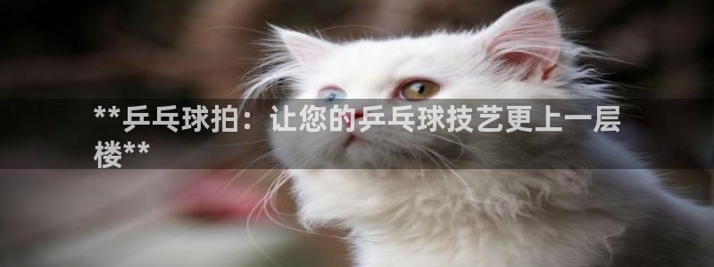 富联平台代理注册要钱吗：**乒乓球拍：让您的乒乓球技