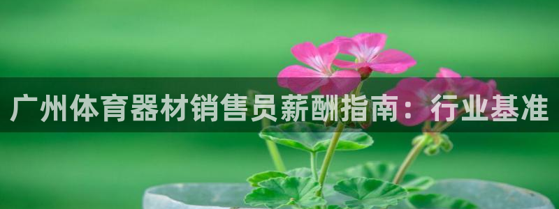 富联娱乐讲7O777：广州体育器材销售员薪酬指南：行