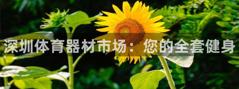 富联官网授权店铺查询：深圳体育器材市场：您的全套健身