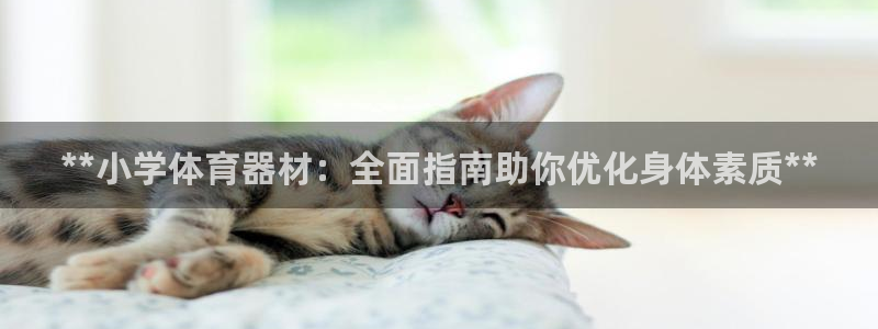 富联官网注册流程视频：**小学体育器材：全面指南助你