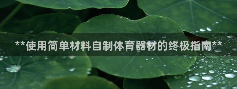 富联平台巴7O777：**使用简单材料自制体育器材的