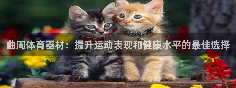 富联平台便7O777：曲周体育器材：提升运动表现和健