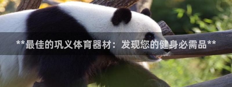 富联娱乐客服微信号是多少：**最佳的巩义体育器材：发