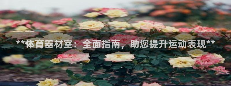富联平台人 5O6917 富联：**体育器材室：全面