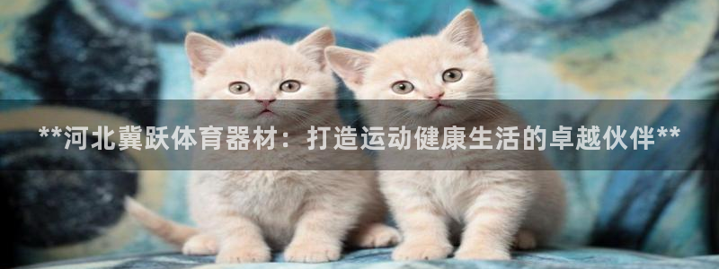 富联平台登录网址是多少：**河北冀跃体育器材：打造运