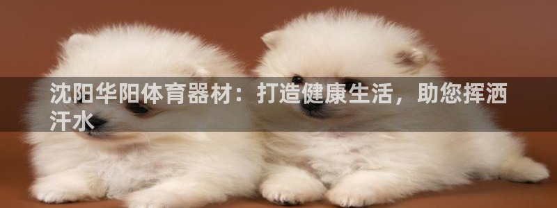 富联平台代理注册：沈阳华阳体育器材：打造健康生活，助