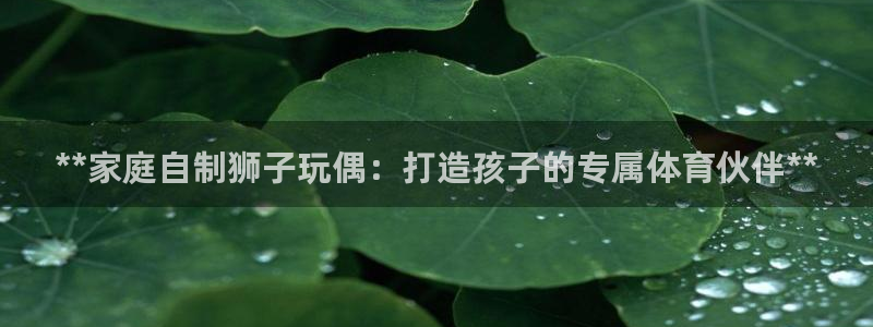 富联官网注册流程图：**家庭自制狮子玩偶：打造孩子的