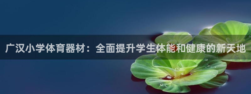 富联娱乐登录注册入口官网下载安卓：广汉小学体育器材：