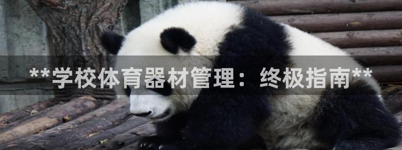 富联芯科技：**学校体育器材管理：终极指南**