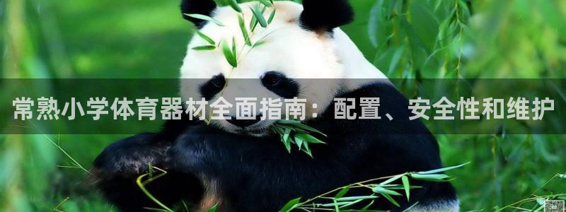 富联娱乐正规吗安全吗：常熟小学体育器材全面指南：配置