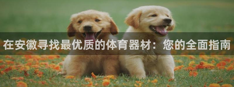 富联官方网站：在安徽寻找最优质的体育器材：您的全面指