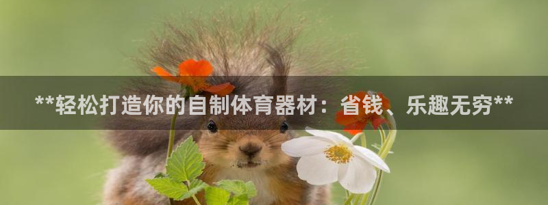 富联平台登录网址是什么：**轻松打造你的自制体育器材