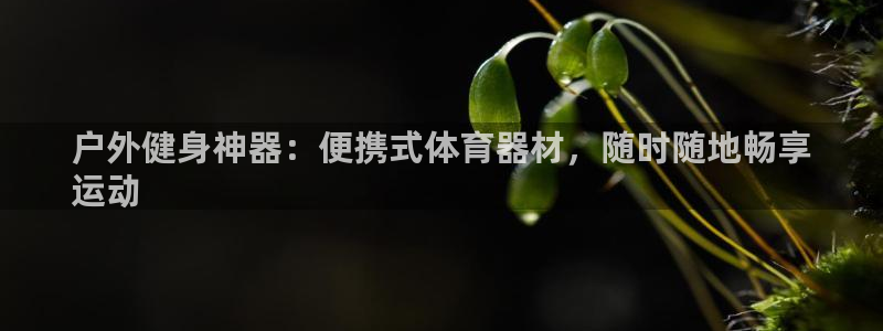 富联娱乐登录地址在哪里：户外健身神器：便携式体育器材