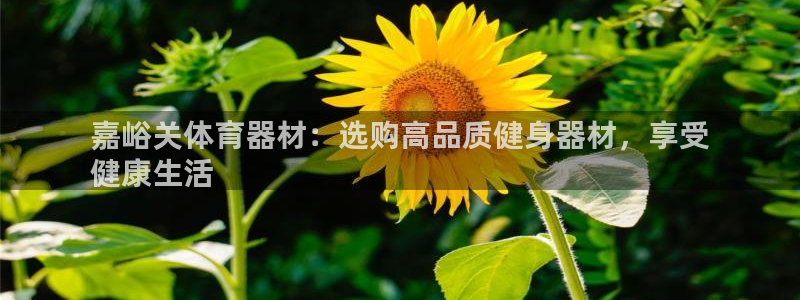 富联娱乐黑吗：嘉峪关体育器材：选购高品质健身器材，享