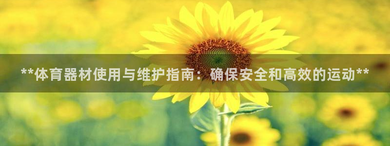 富联智能工坊：**体育器材使用与维护指南：确保安全和