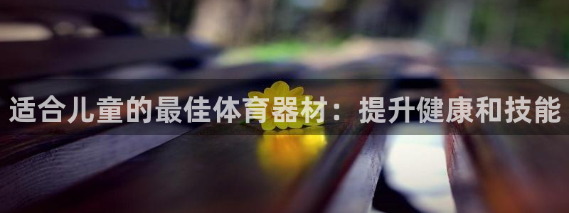 富联娱乐官方网站：适合儿童的最佳体育器材：提升健康和技能
